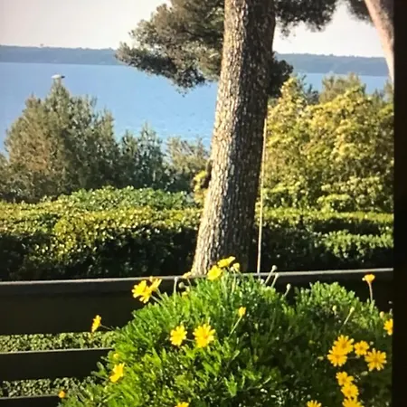 Casa Dade * Cannes